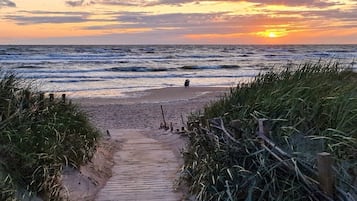 Chaises longues, serviettes de plage