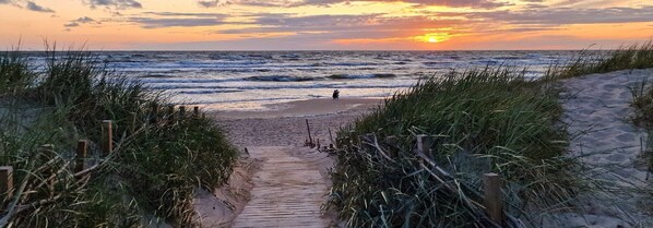 Chaises longues, serviettes de plage