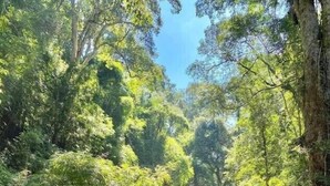 A group of people standing and paddling in a river surrounded by dense green foliage. - Khu nghi duong Kala Campark (Bao Thuan)