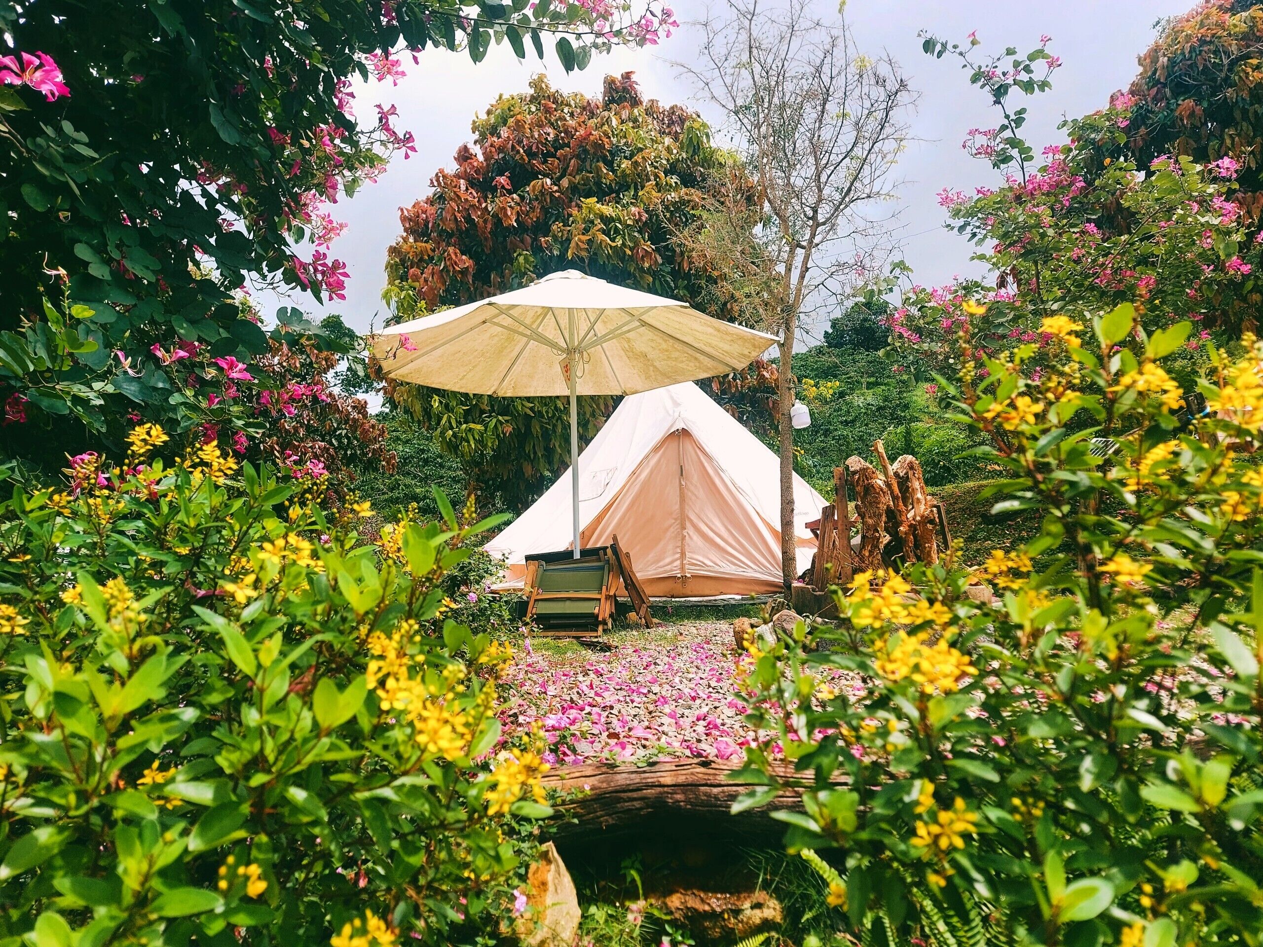 Häämatkatelttamajoitus | 1 makuuhuone, allergiatestatut vuodevaatteet