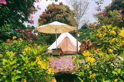 Honeymoon tent | 1 slaapkamer, hypoallergeen beddengoed, Select Comfort-bedden