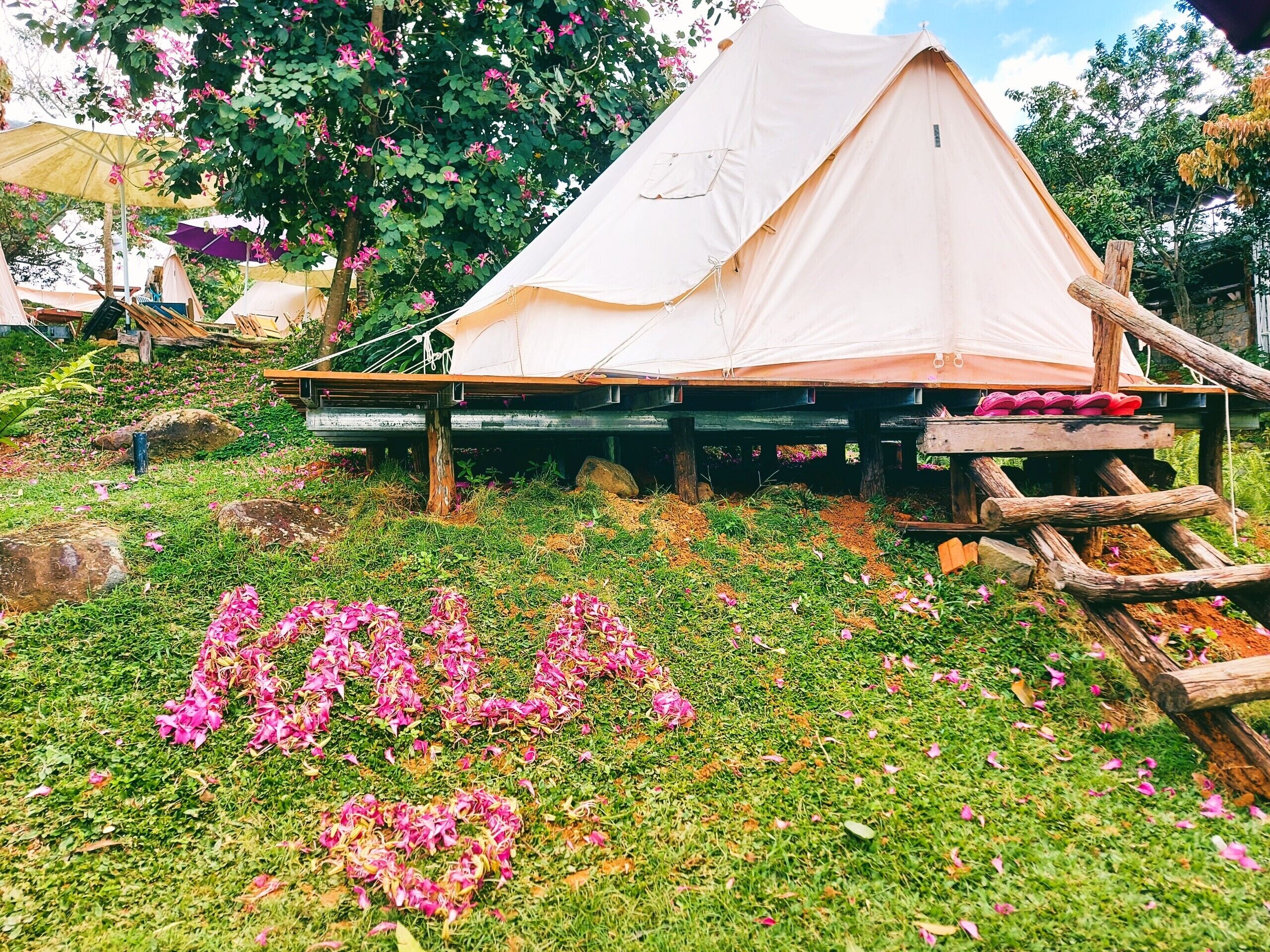 A tent set up on a grassy area with scattered flower petals.