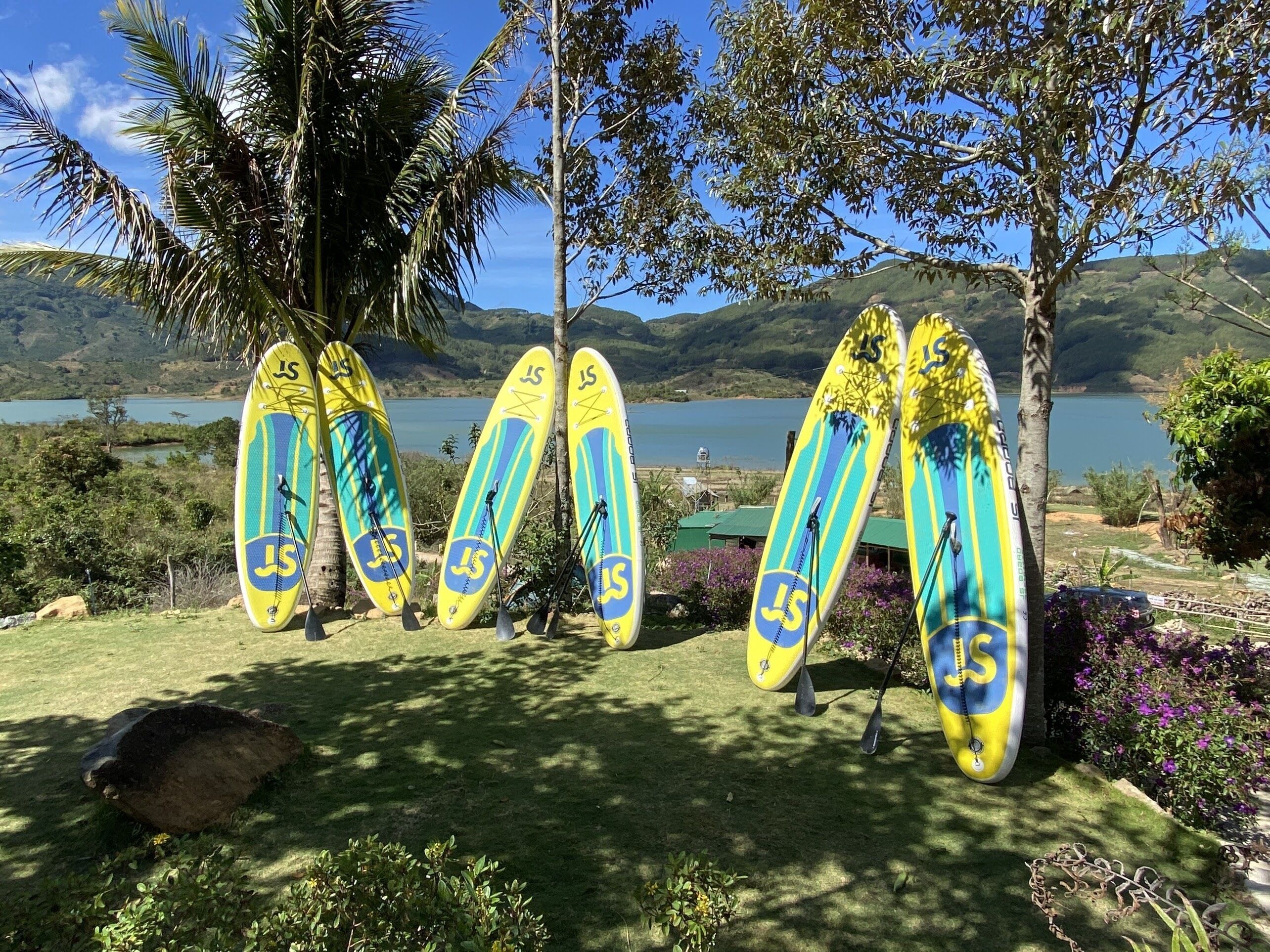 Eine Reihe von gelben und blauen Surfbrettern, die an Bäume gelehnt sind, mit einem See und Hügeln im Hintergrund.