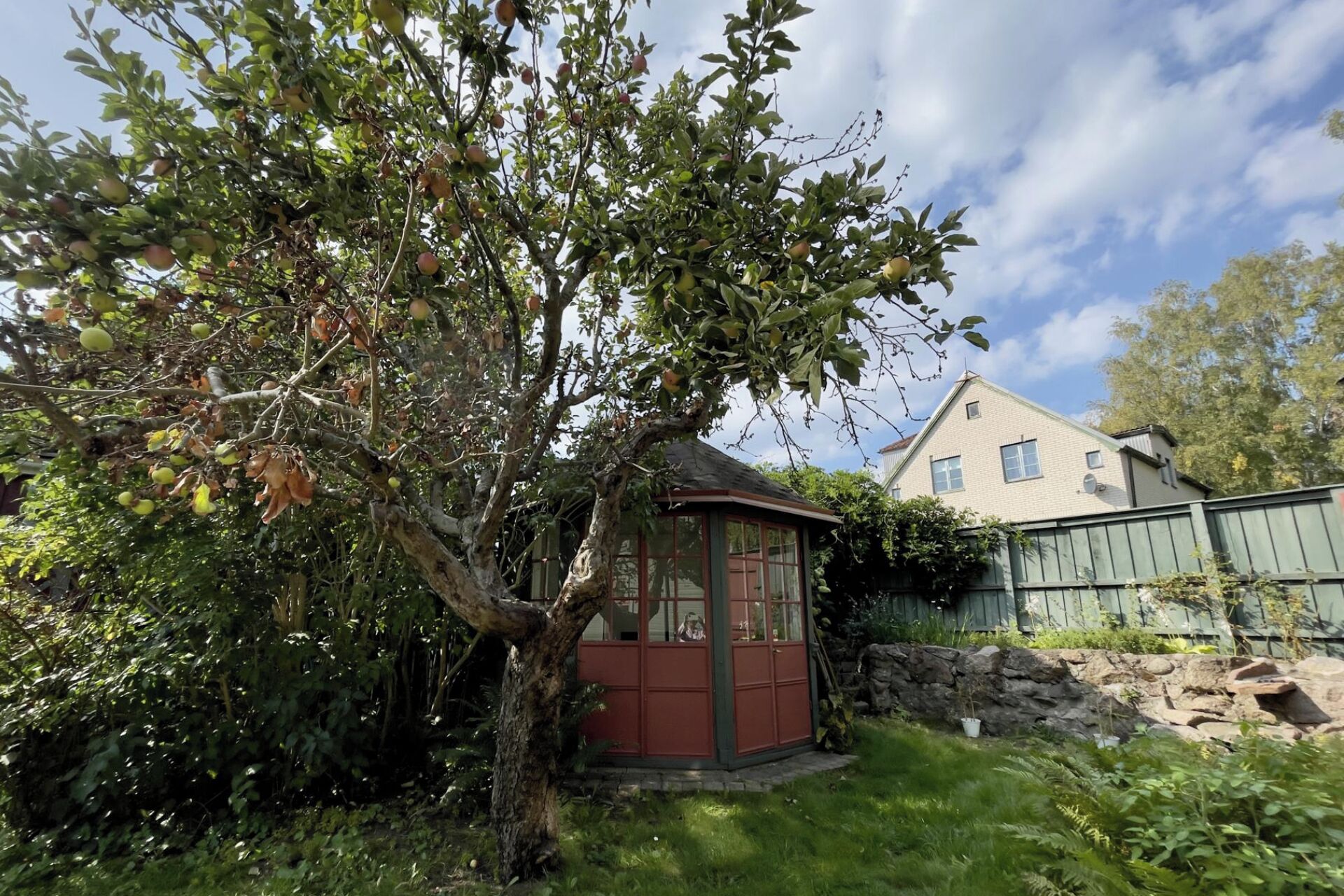 A house with a small red shed in the yard.