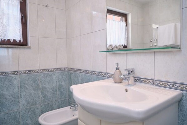 Shower, hair dryer, bidet, towels