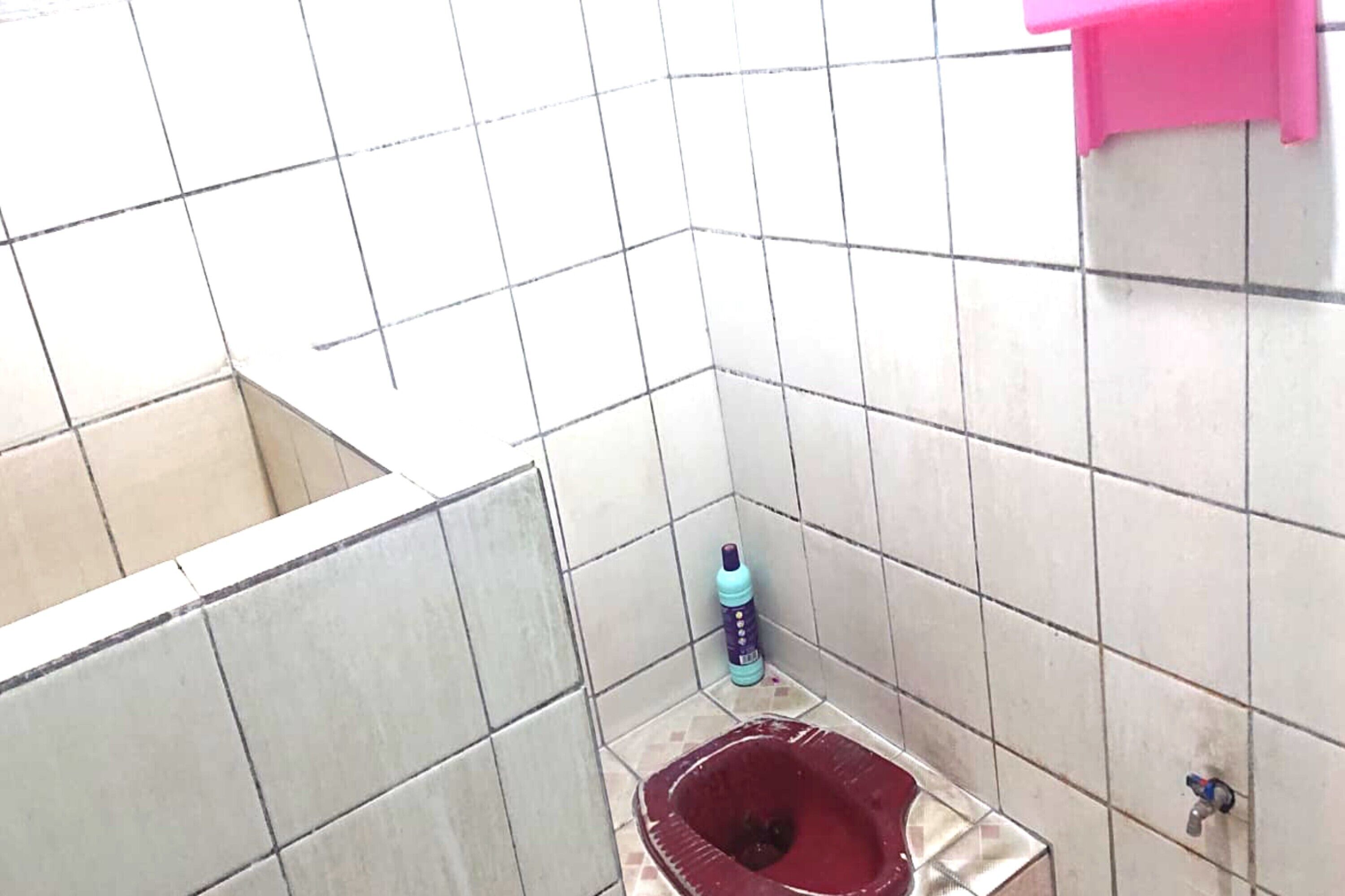 A small bathroom with a red toilet, a blue bottle, and a pink towel rack.