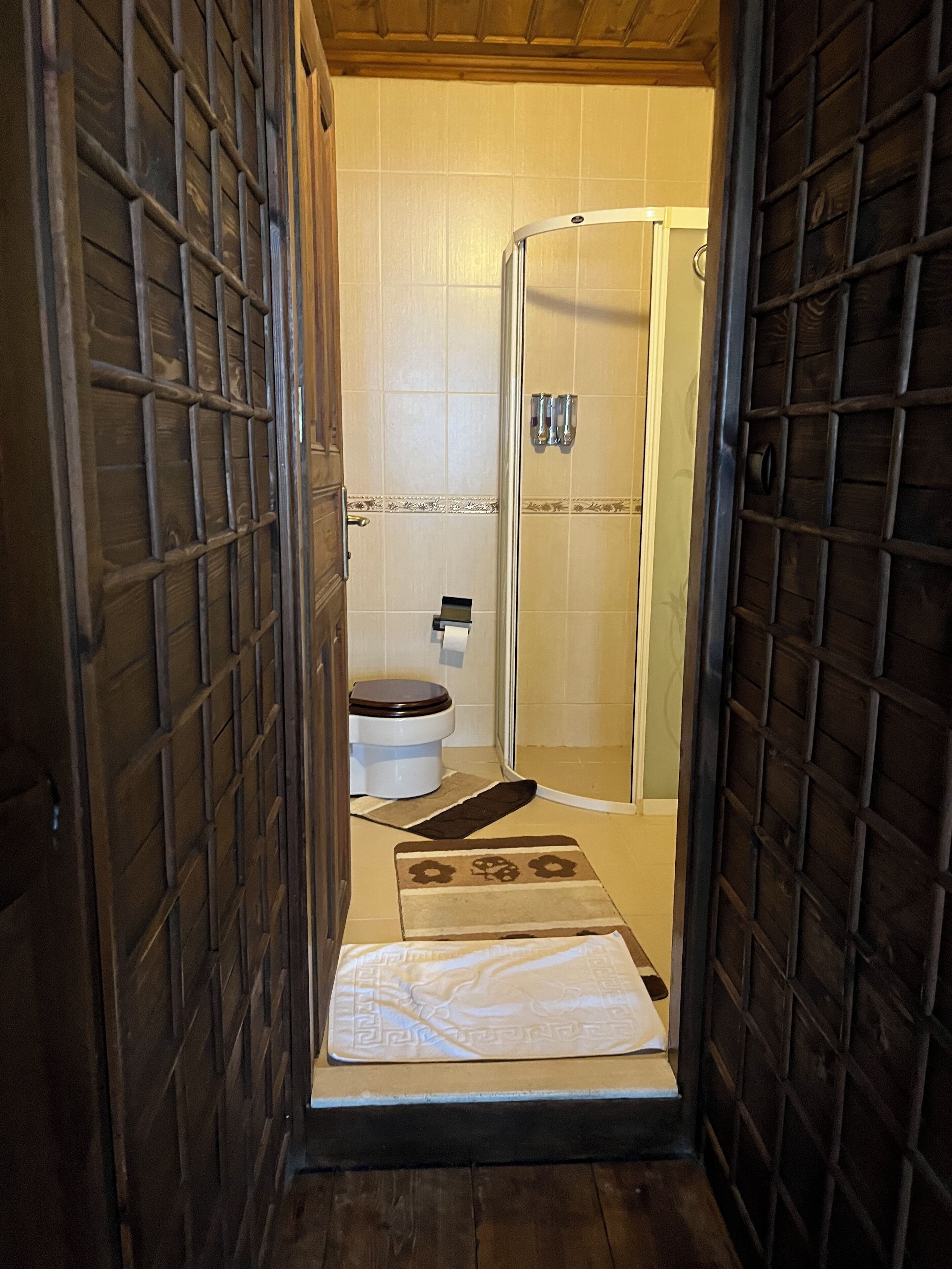 A narrow bathroom with a shower, toilet, and a towel on the floor.