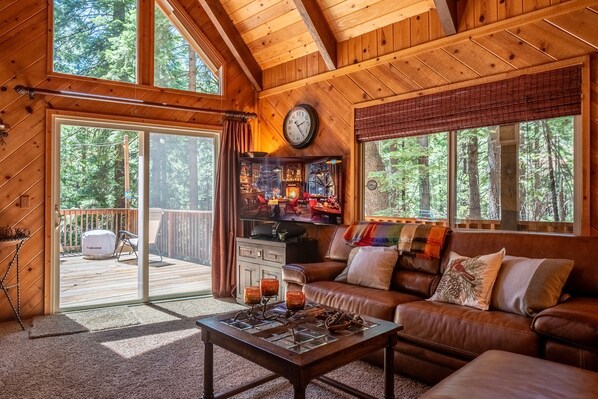 Smart TV, music library, stereo