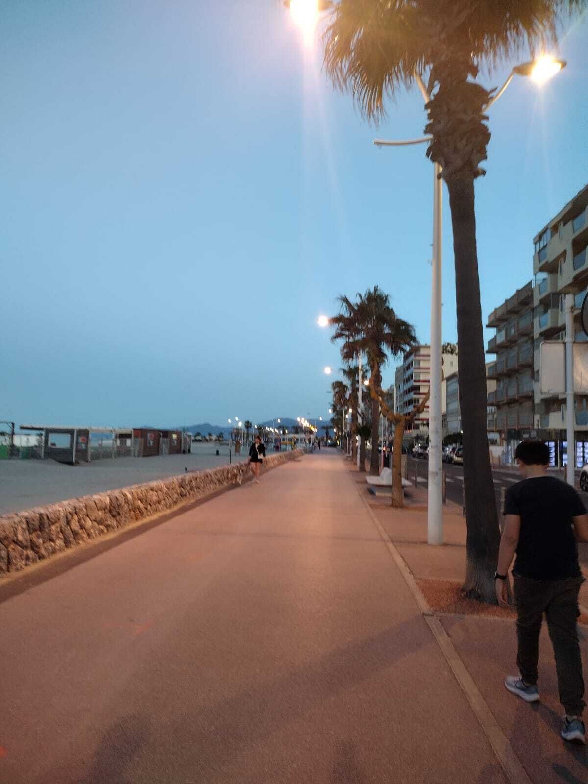 Une promenade en bord de mer, bordée d’un mur de pierres, de palmiers et de lampadaires.