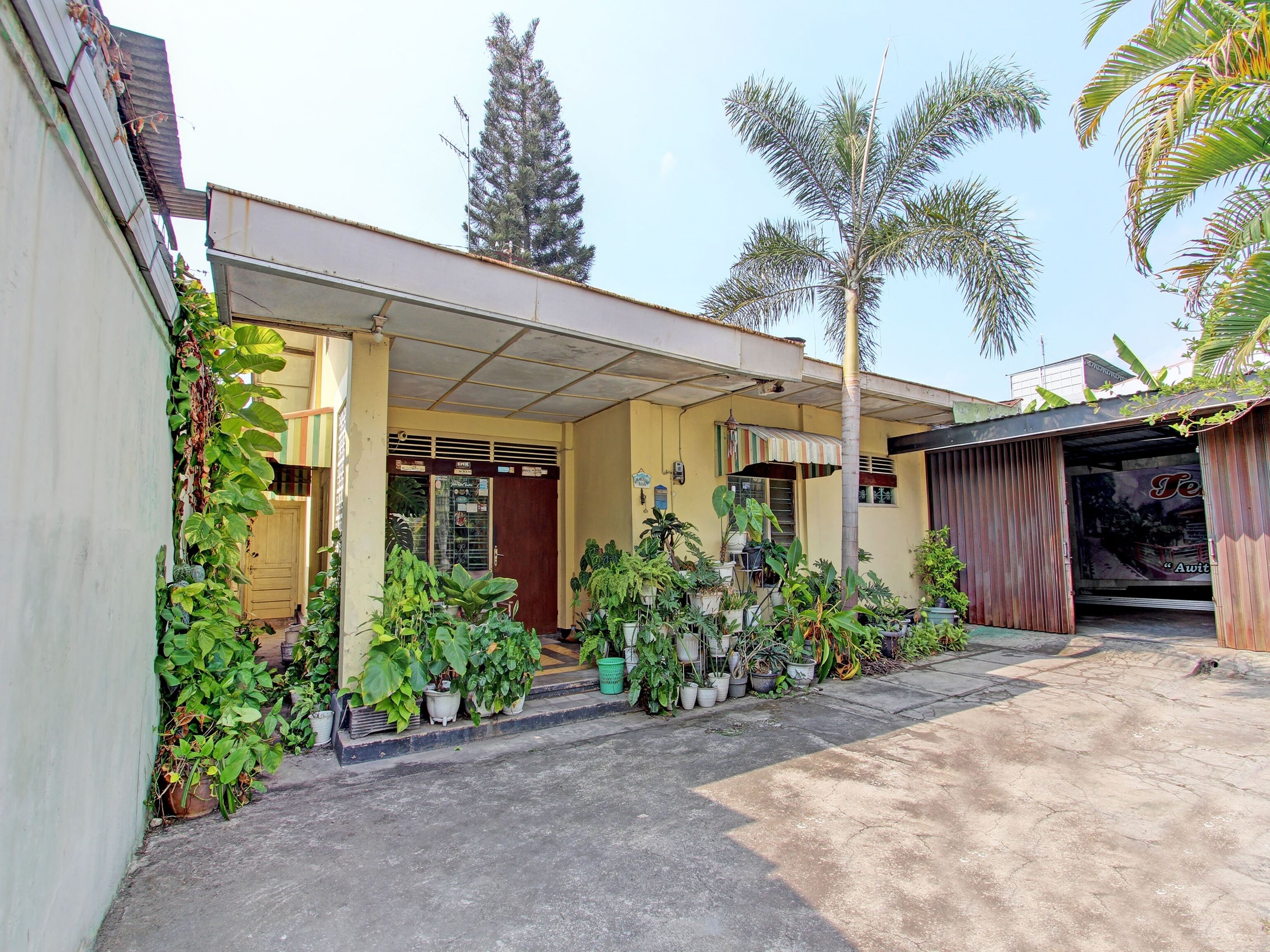 A building with a covered entrance, potted plants, and a palm tree.