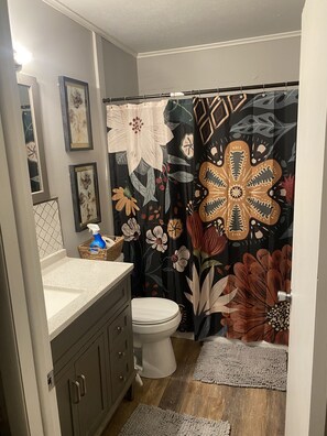 Secadora de cabello, toallas, jabón, shampoo 