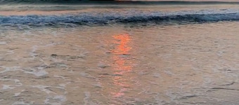 Abode Homestay Alappuzha / Near Omanapuzha Beach