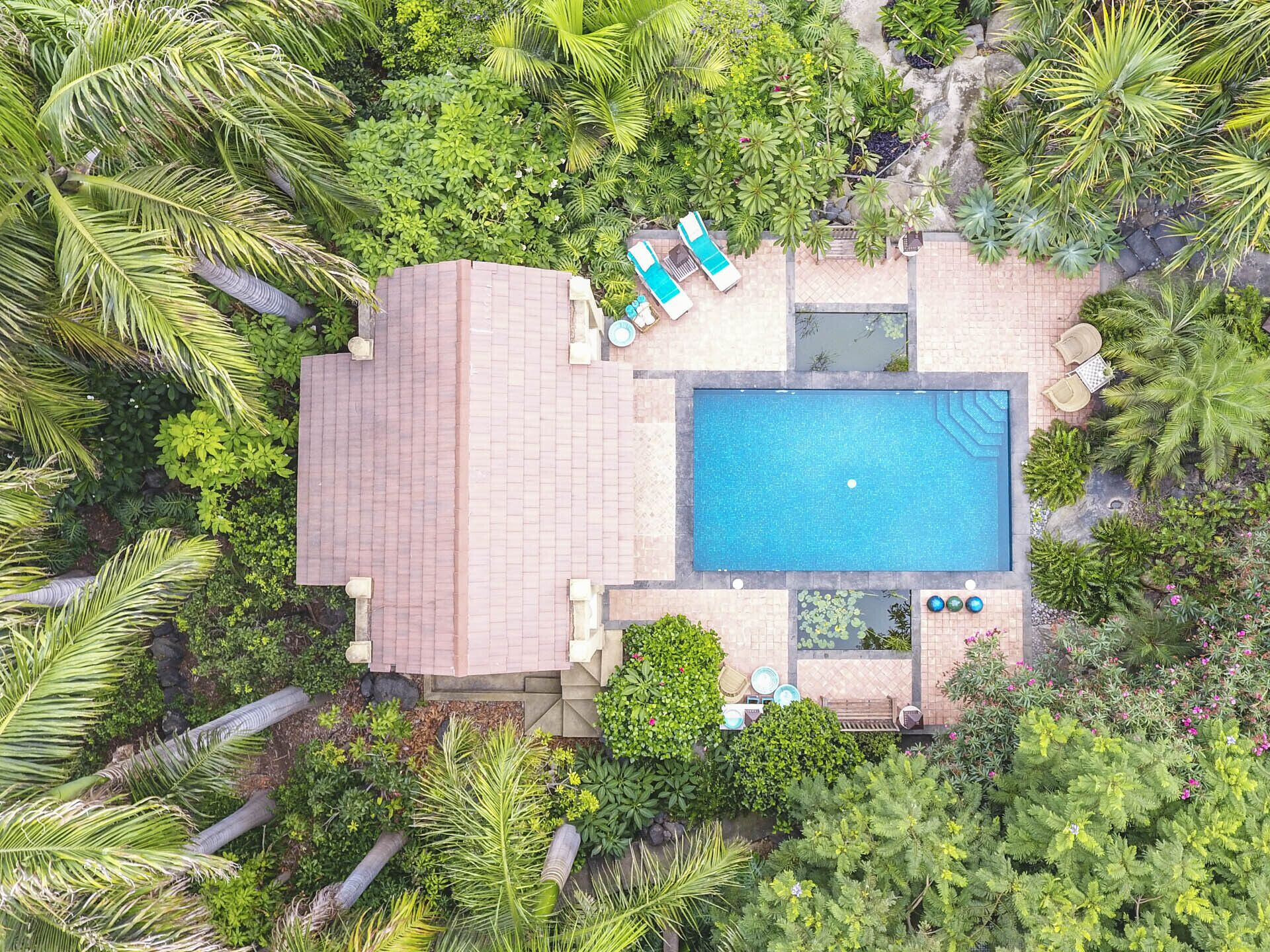 Vista aérea de un resort con piscina, sillas de descanso y exuberante vegetación tropical.