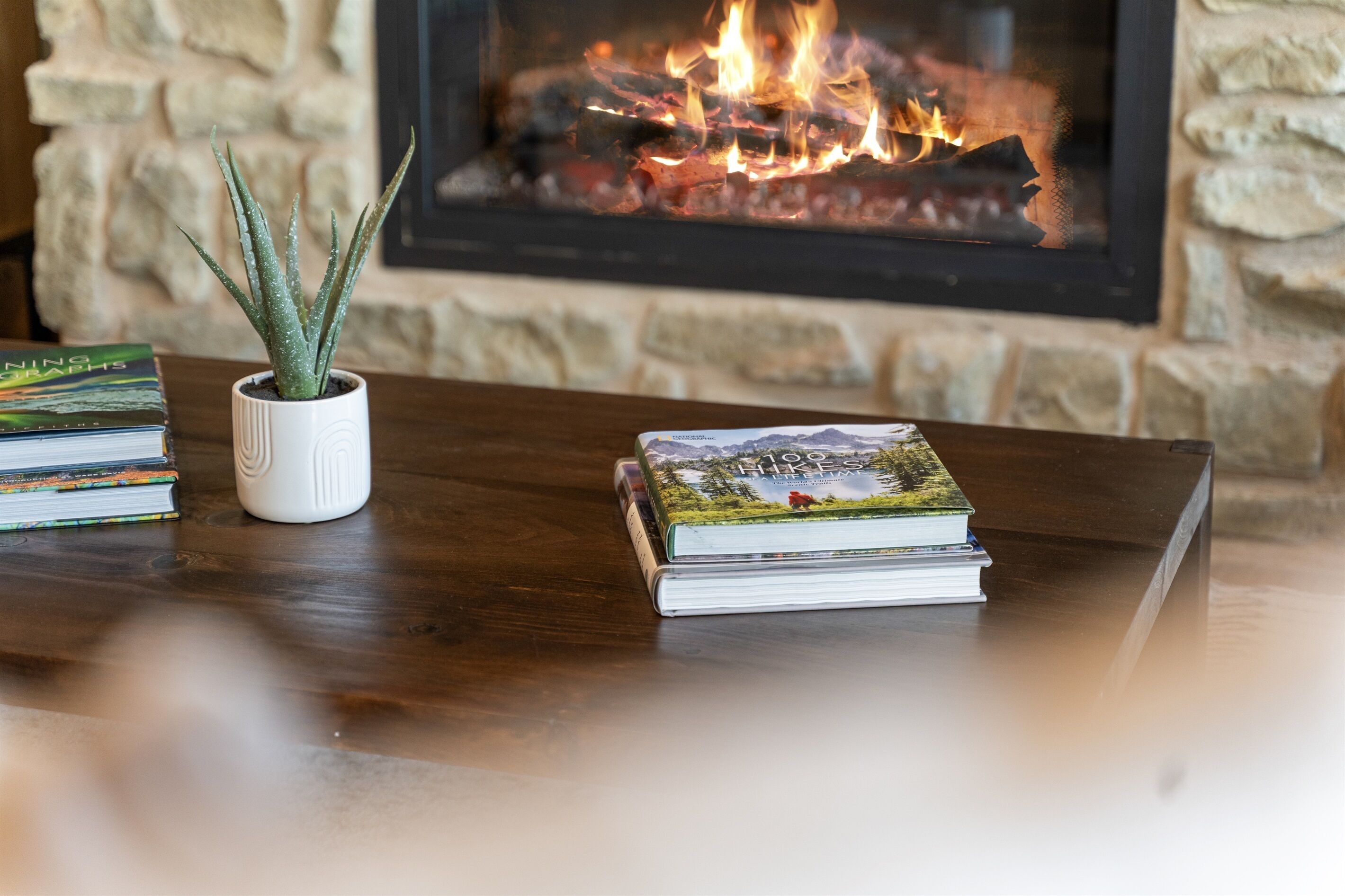 A fireplace with a fire, a potted aloe vera plant, and a stack of books on a wooden table.