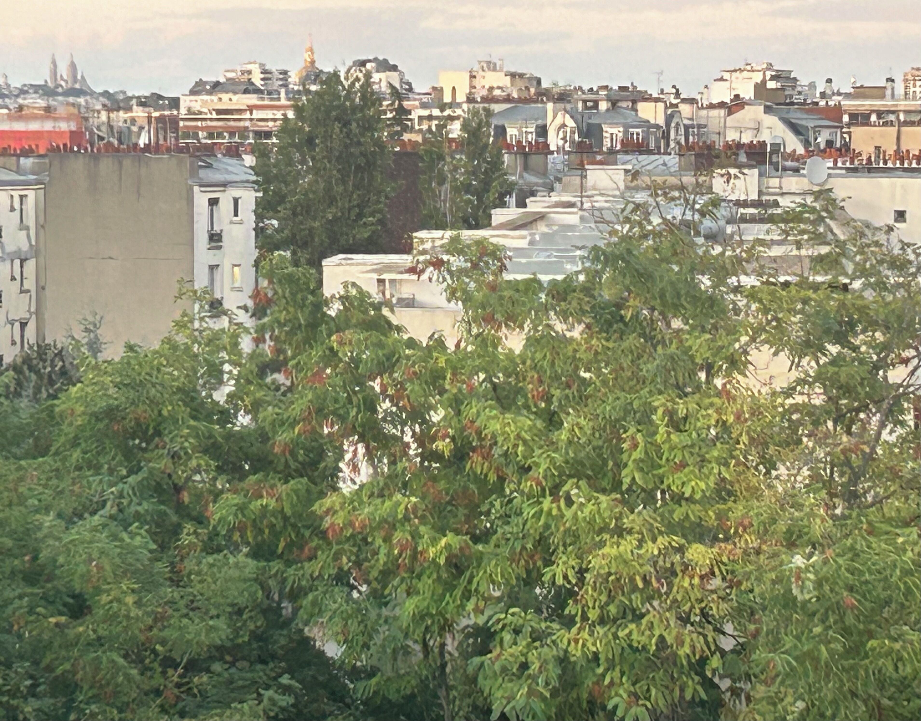 A cityscape with buildings and a body of water in the background.