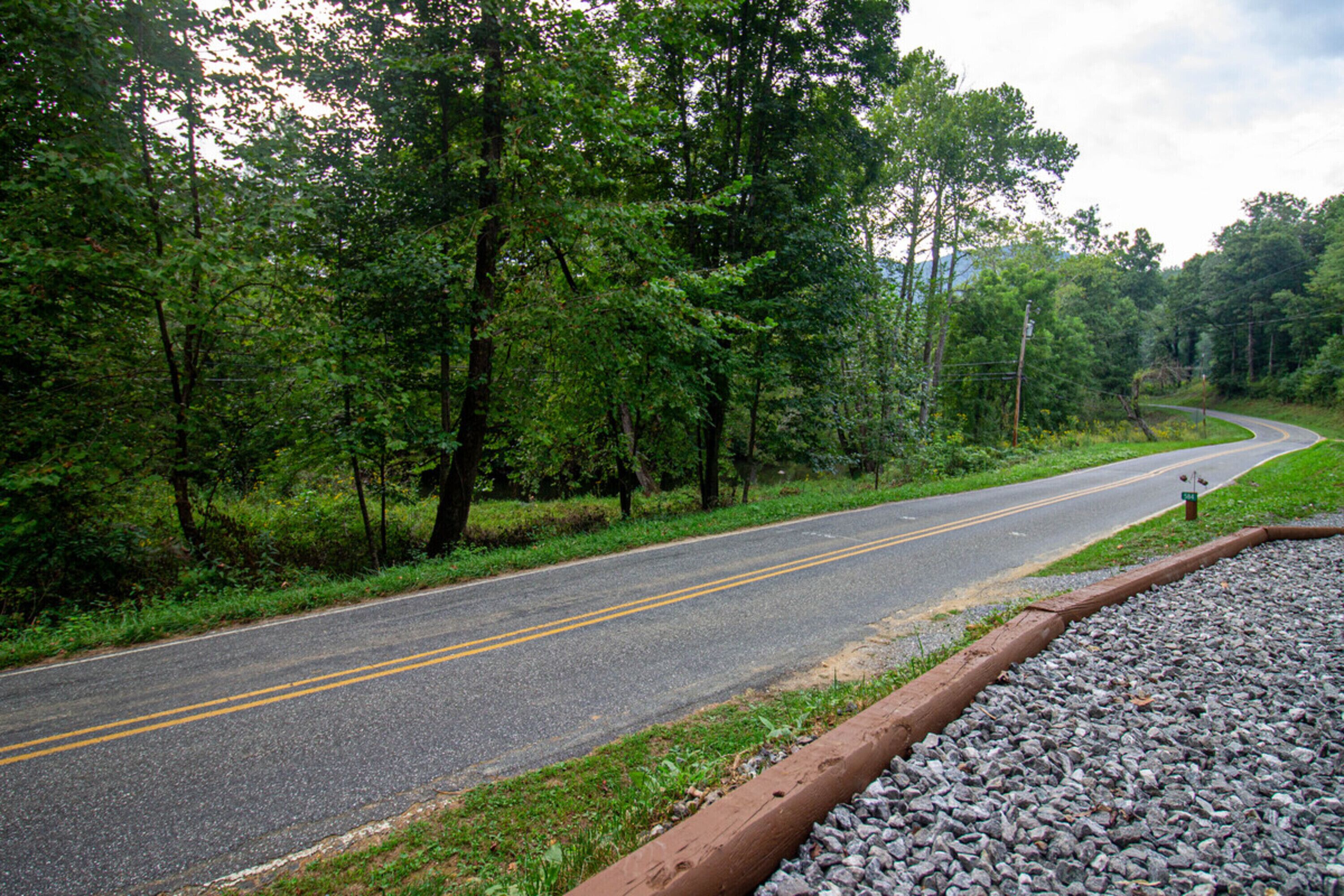 A curving road surrounded by dense green forest.