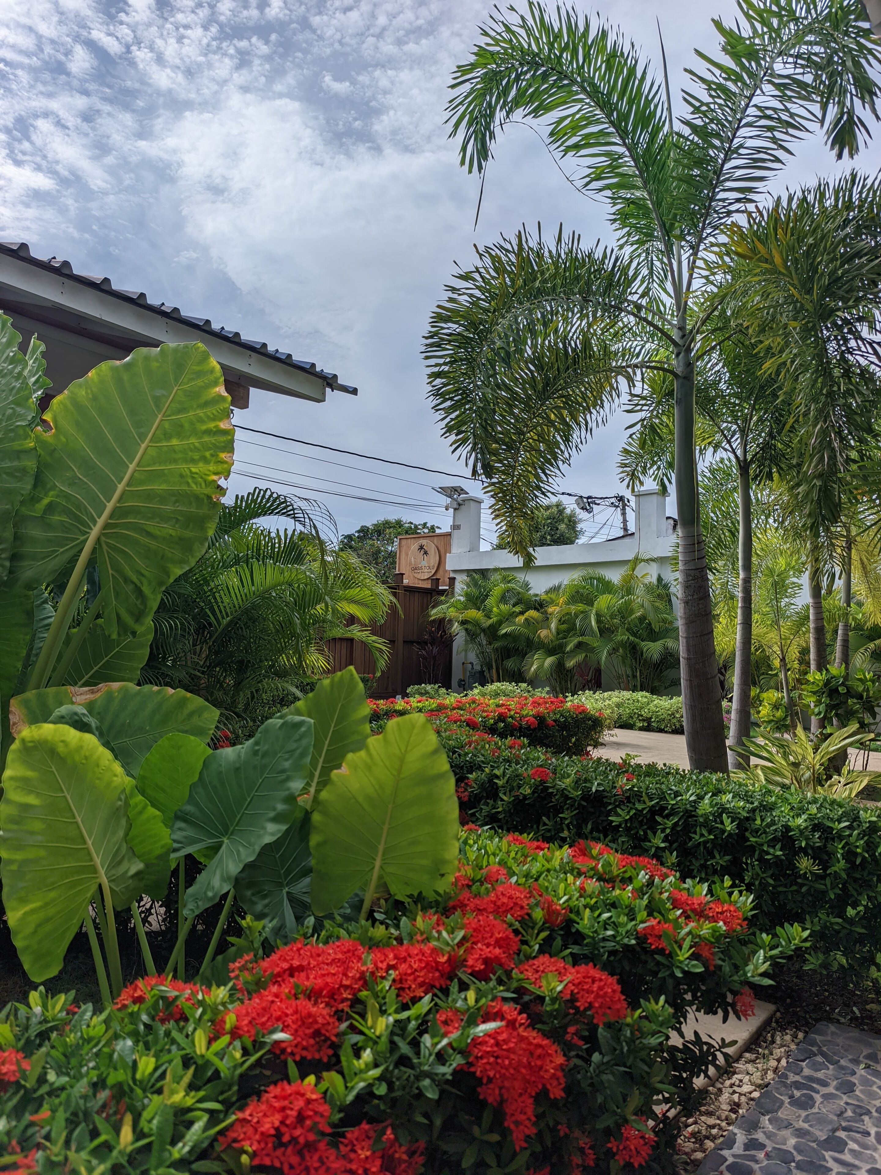 Photo - Hotel oasis tolu boutique
