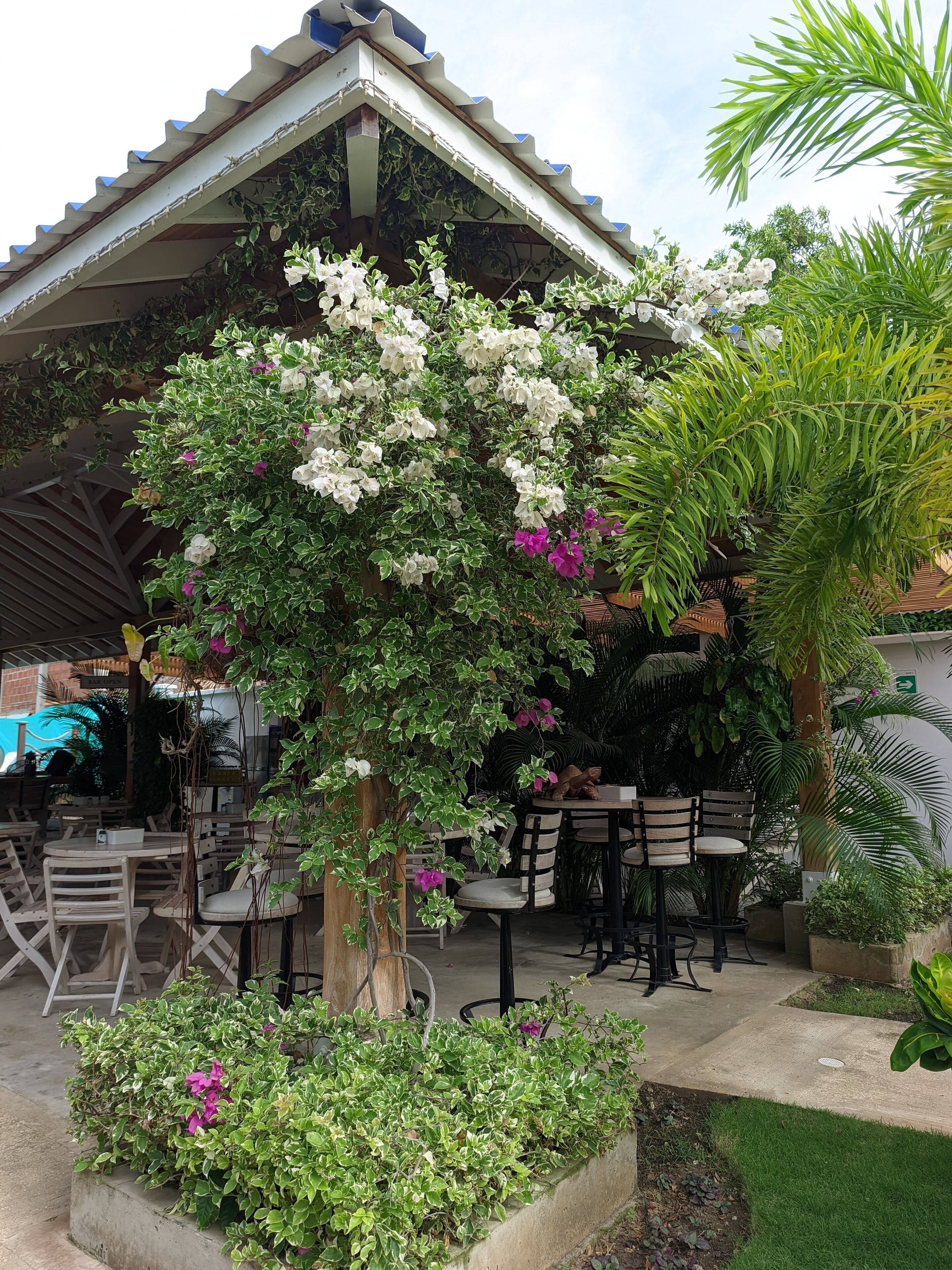 Foto - Oasis Tolú Hotel Boutique