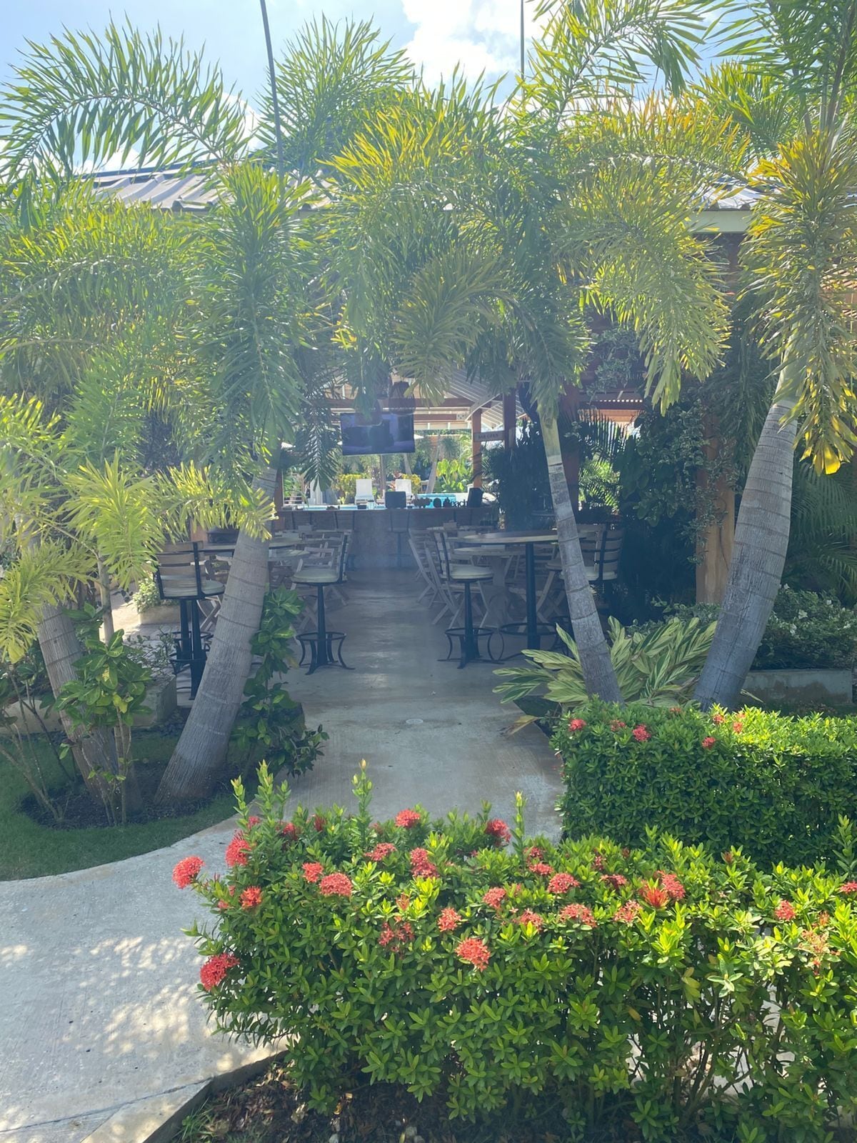 Photo - Hotel oasis tolu boutique