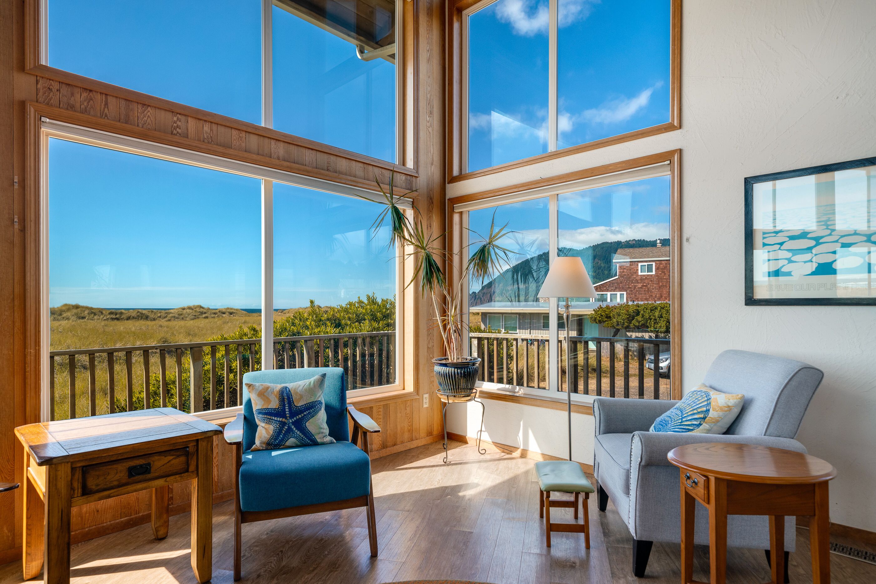 TV connectée, cheminée, lecteur de DVD, livres