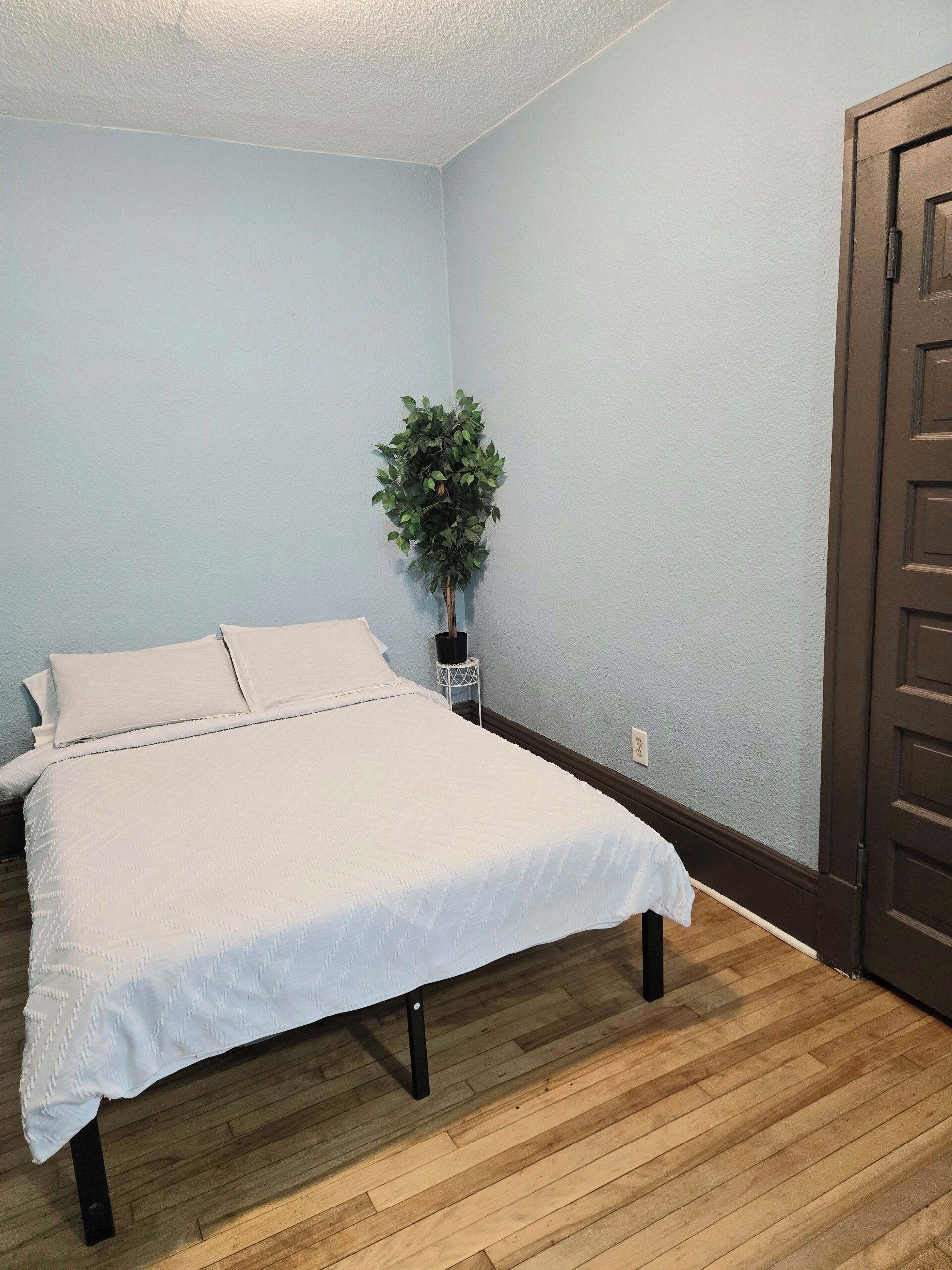 A bedroom with a bed, a potted plant, and a door.