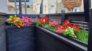 House, 2 Queen Beds | Property grounds