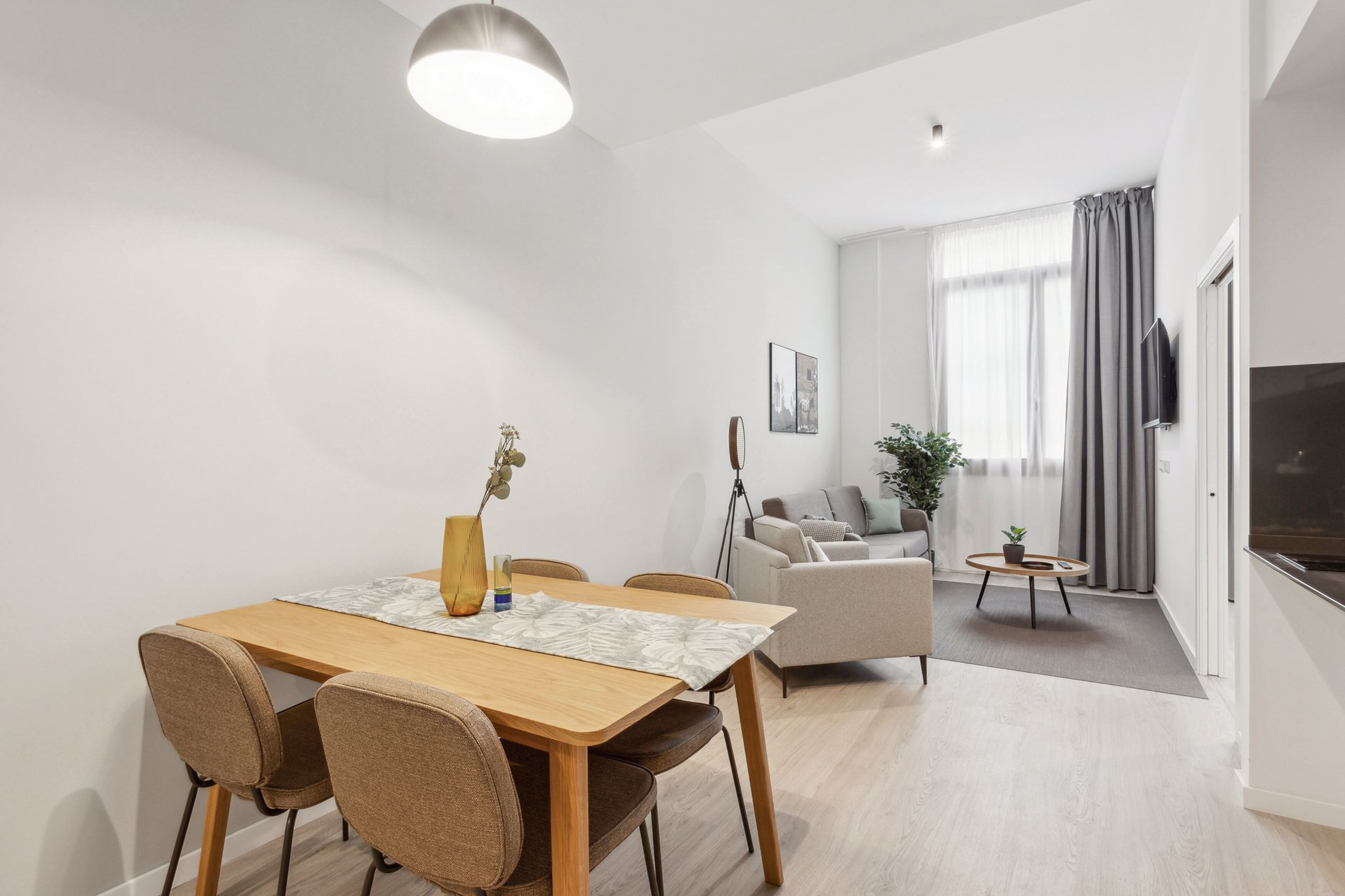 A modern living room with a dining area, a sofa, a TV, and a plant.