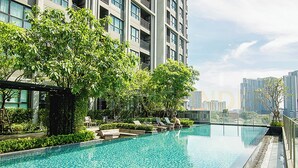 A rooftop infinity pool with lounge chairs, surrounded by greenery and modern buildings.