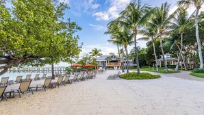 A beachside resort with rows of sun loungers, a gazebo, and palm trees. - Villa in Key Largo – Gym, Pool + Beach (Key Largo)