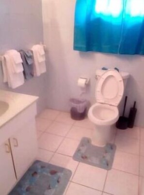 Haartrockner, Handtücher, Seife, Shampoo