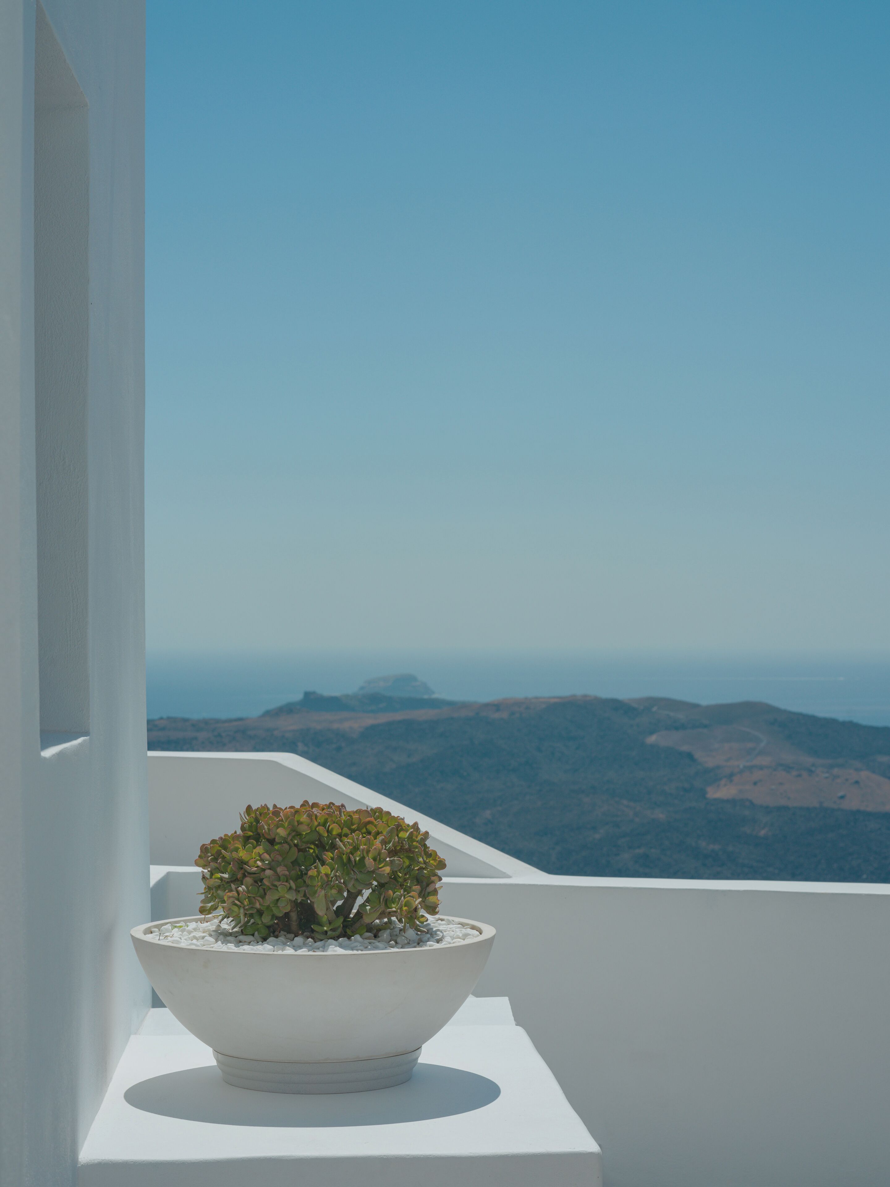 A white planter with a small plant on a balcony overlooking a landscape.