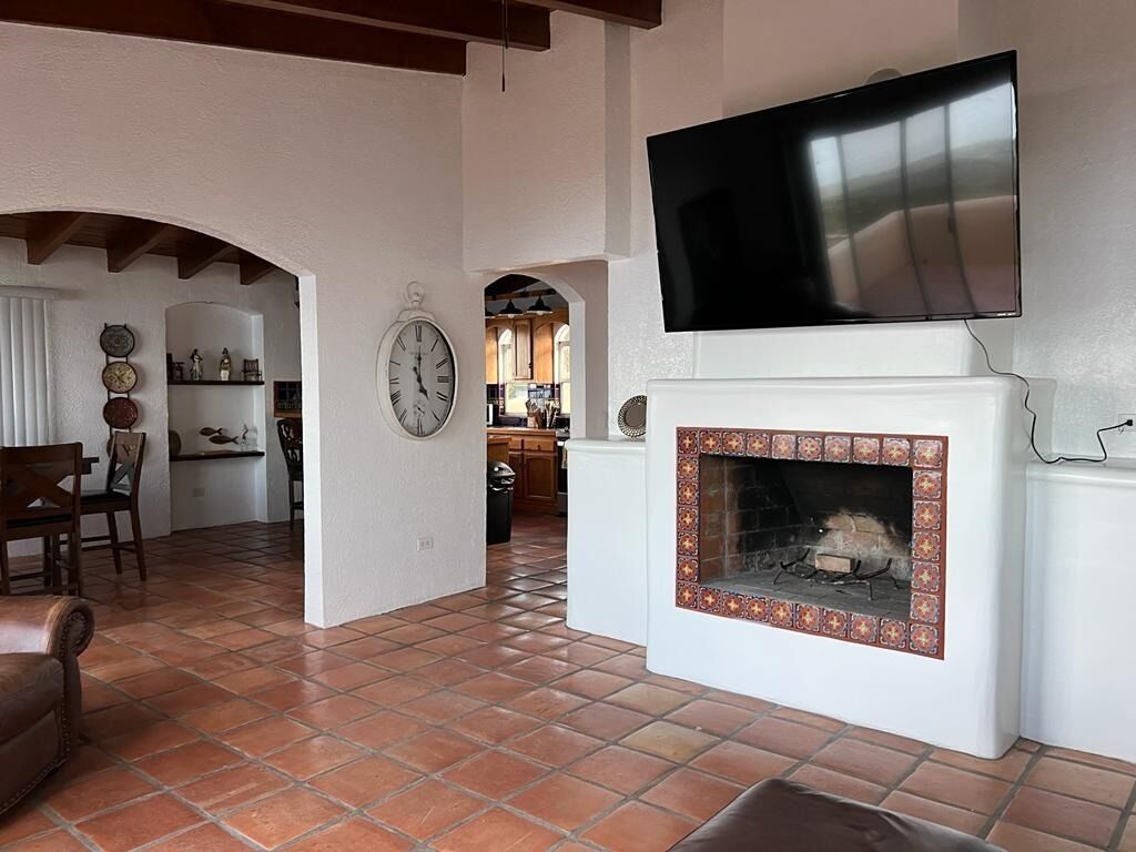Smart TV, fireplace, books