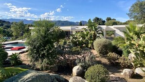 Ein modernes Gebäude mit Pool und üppigem Garten.