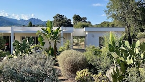 Ein modernes Haus mit Garten, mit Kakteen und Sträuchern, Bergkulisse und blauem Himmel.