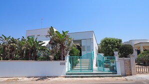 A modern house with a white exterior, a blue gate, and lush tropical plants.