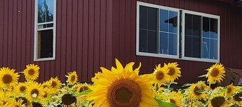 Private Mountain View Cabin in Aroostook on Mars Hill Mountain