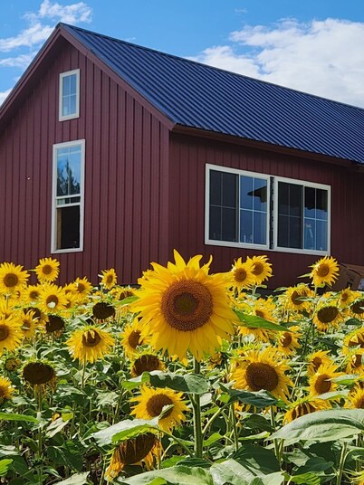 Private Mountain View Cabin in Aroostook on Mars Hill Mountain