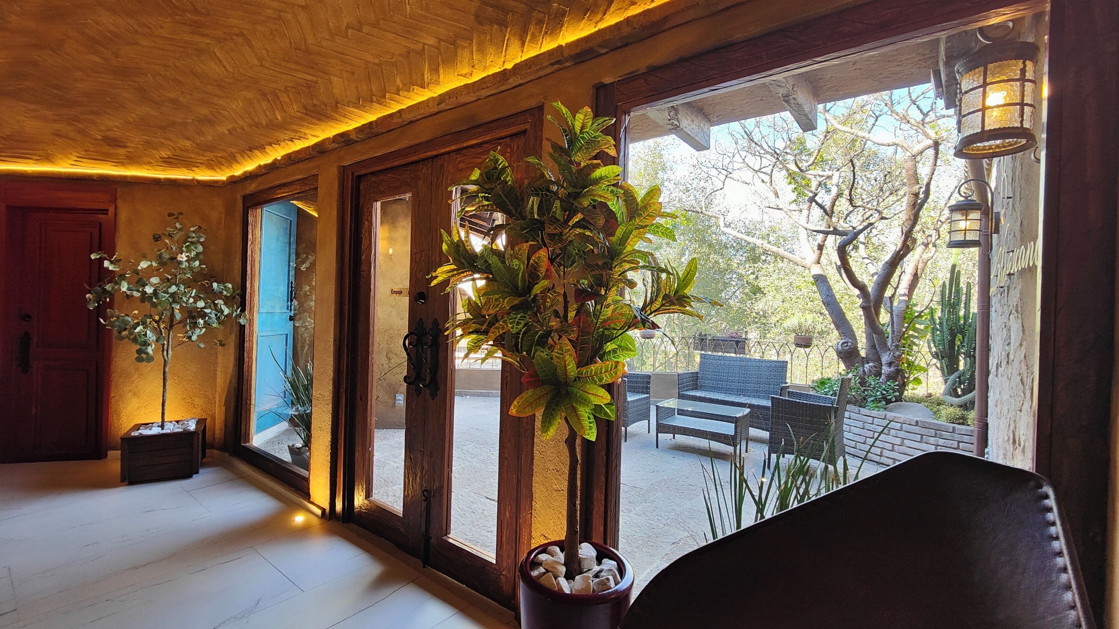 Un pasillo con suelo de madera, una planta en maceta, un banco y vistas al exterior.