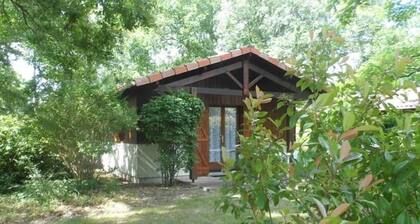 1- Chalet familial au cĆur des landes girondines