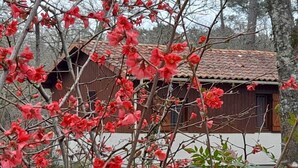 Una cabaña de madera rústica con techo de tejas, rodeada por un jardín con flores rojas en flor.