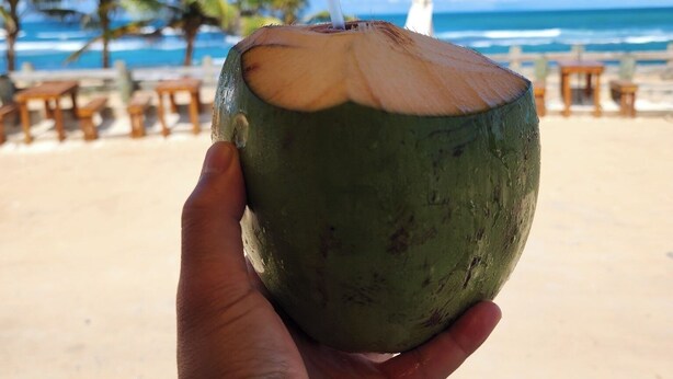A hand holding a coconut with a straw, palm trees, and a beach in the background.