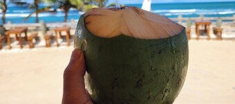 Coastal Town Retreat in Dorado, PR