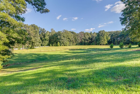 A grassy field with trees in the background.