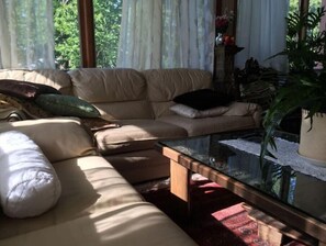 Televisión, chimenea y libros