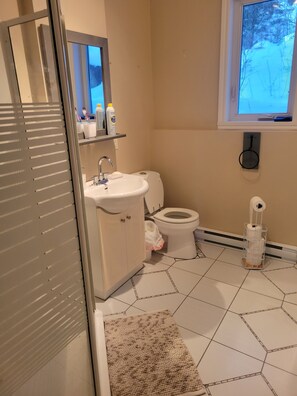 Haartrockner, Bidet, Handtücher, Seife