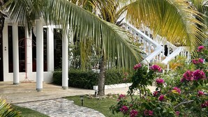 Un sendero conduce a un edificio blanco con columnas, rodeado de abundante vegetación y plantas con flores.