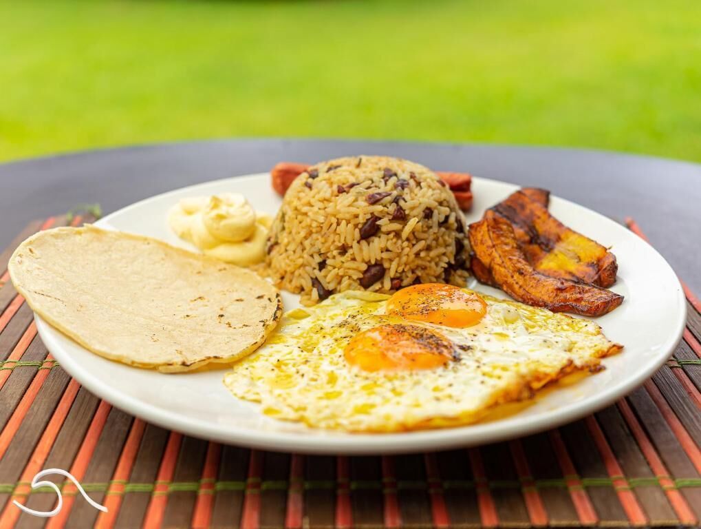 Ein Teller mit Reis, gebratenen Eiern, Kochbananen und einer Tortilla.