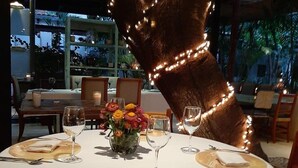 Phục vụ bữa trưa và bữa tối 