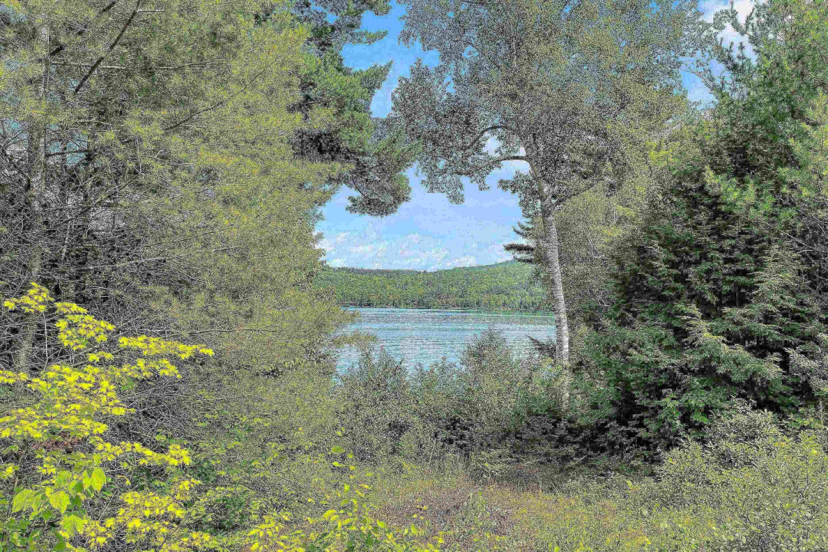 A natural landscape with a lake surrounded by dense trees and vegetation.