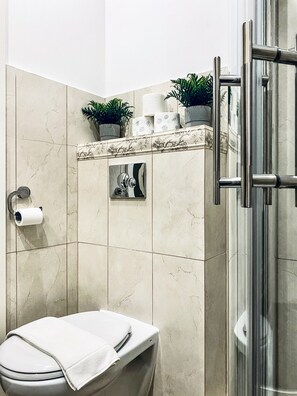 Shower, hair dryer, towels, soap